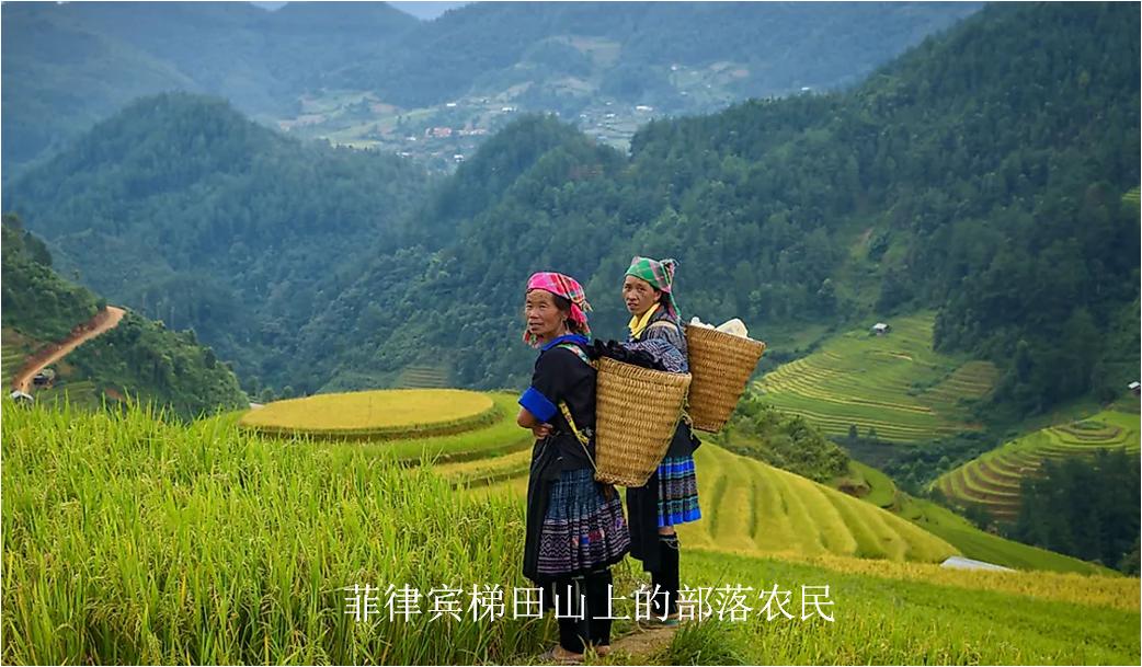 世界平均身高最矮的十个国家,世界上平均身高最矮的是哪个国家