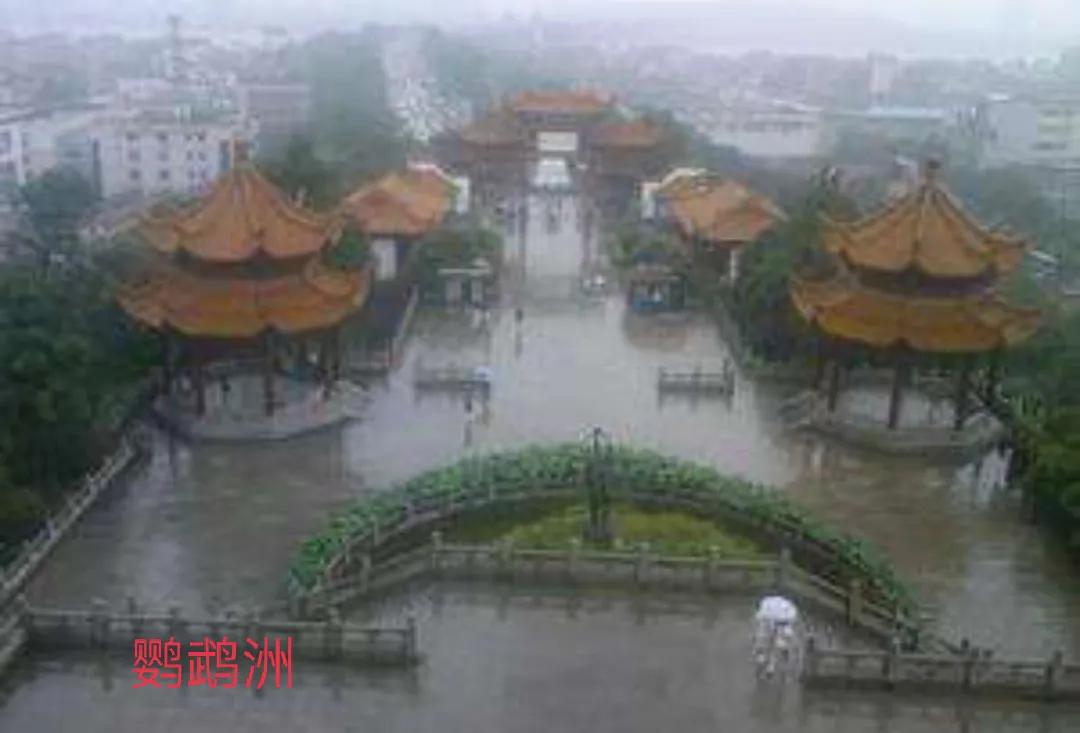 源自不系舟微博《鹦鹉洲》