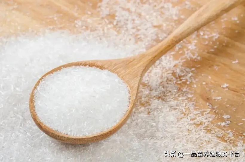 养鸡30年不得鸡瘟的方法,农村养鸡得了鸡瘟怎么办