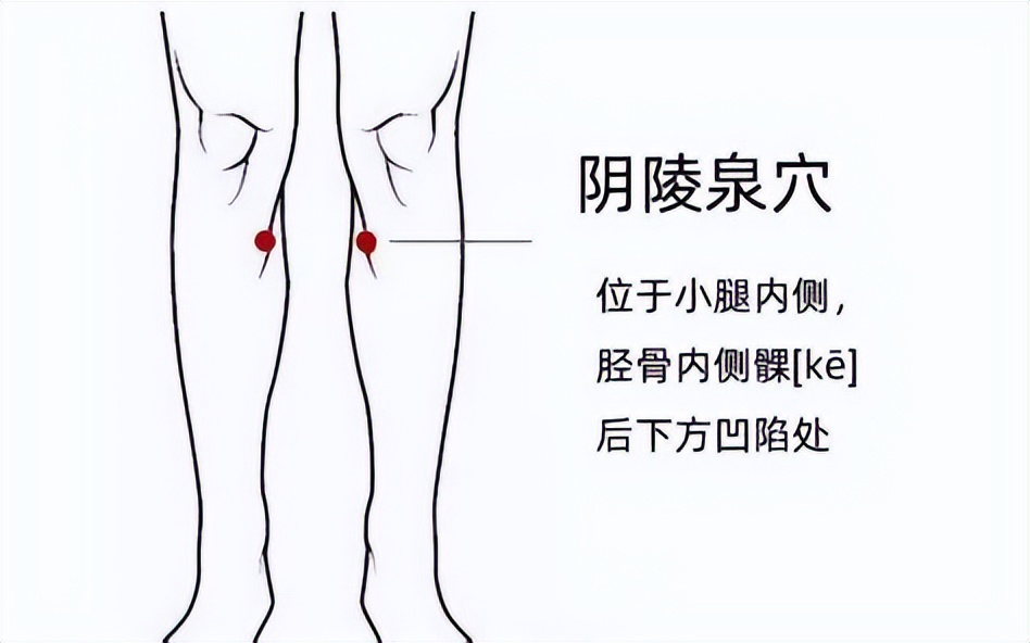 消水肿食疗汤,消水肿常用药