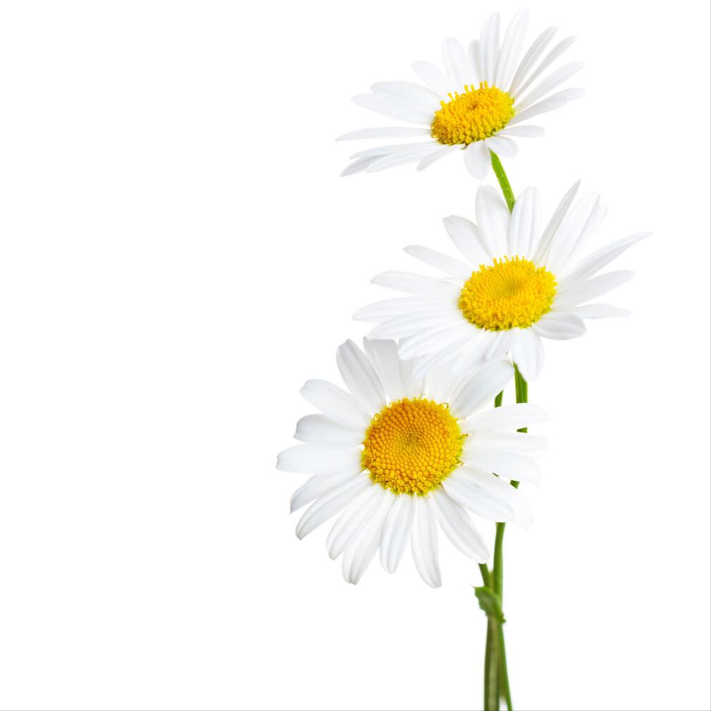 商业大佬的创业故事，你值得学习！（一）