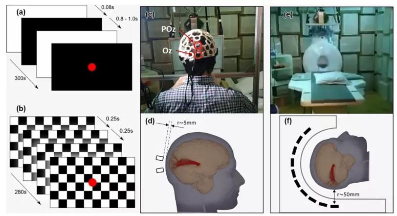 科学家发现大脑的秘密,科学家发现量子纠缠可视化