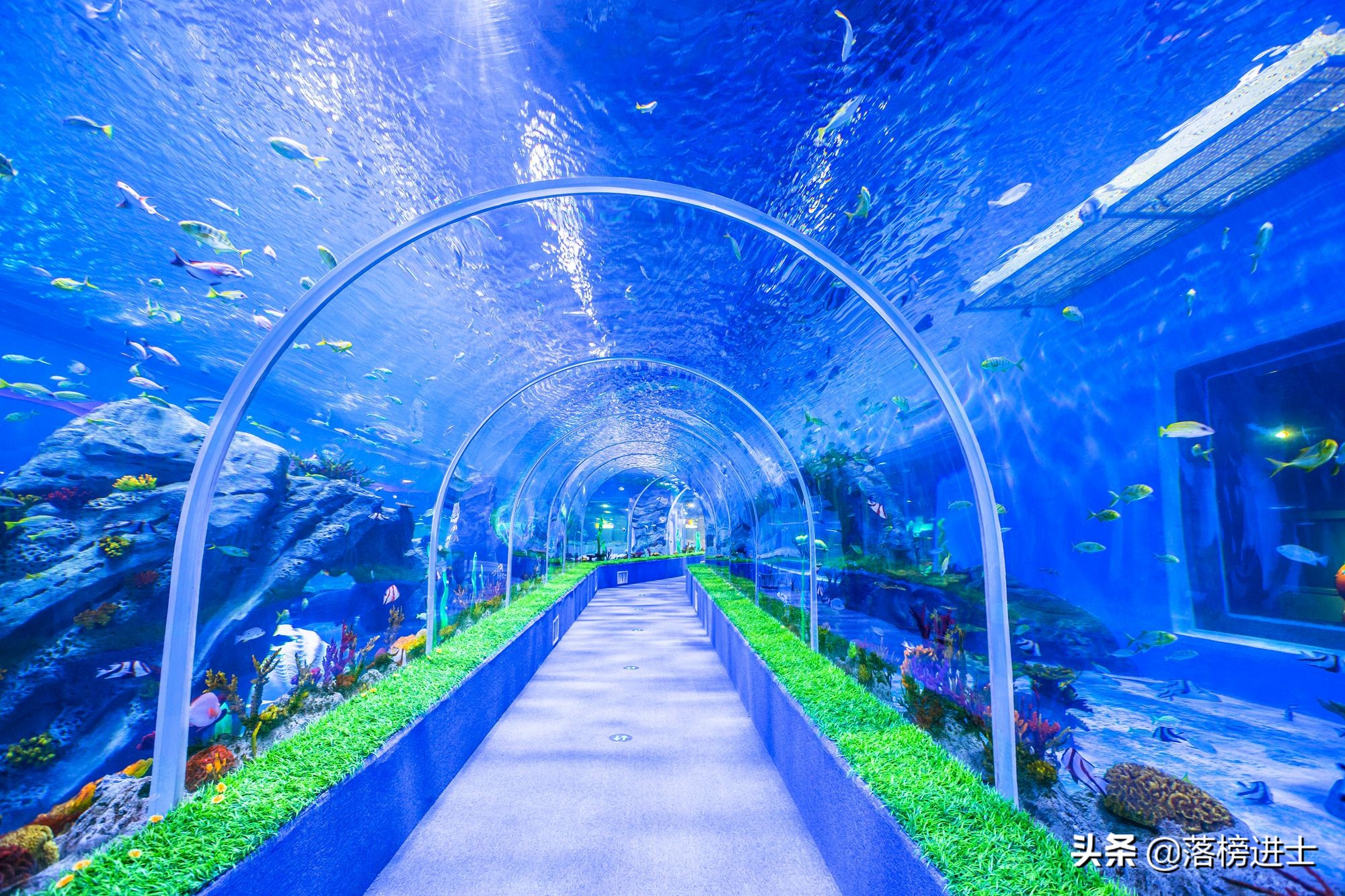 石家庄极地海洋世界从哪个门进,石家庄极地海洋世界内部视频