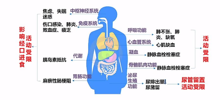 易斌教授,陆军军医大学易斌教授
