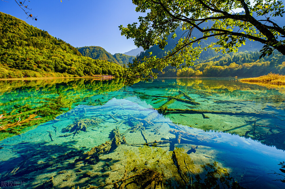 ChatGPT:中国最美的10个自然风景,按顺序排名