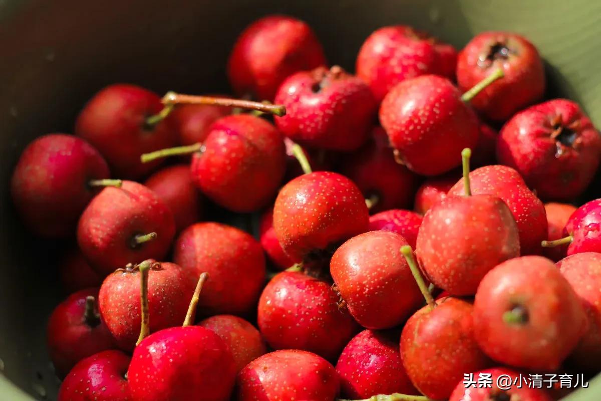 孕妇孕期可以多吃水果吗,孕妇怀孕吃很多水果