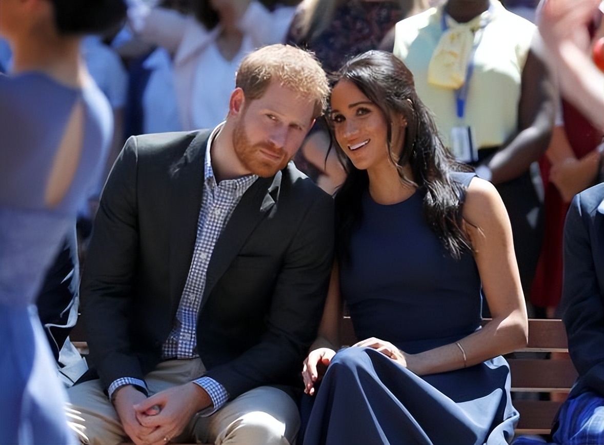 梅根哈里赚钱,梅根哈里靠什么赚钱