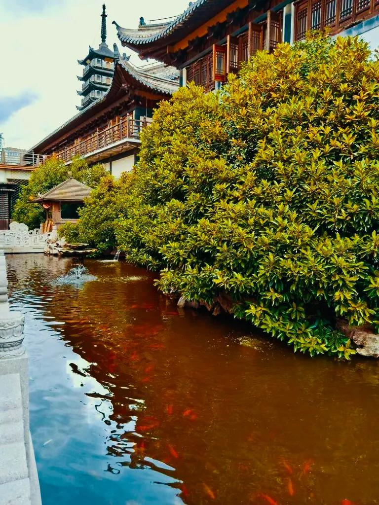 上海真如寺简介,上海真如寺方丈