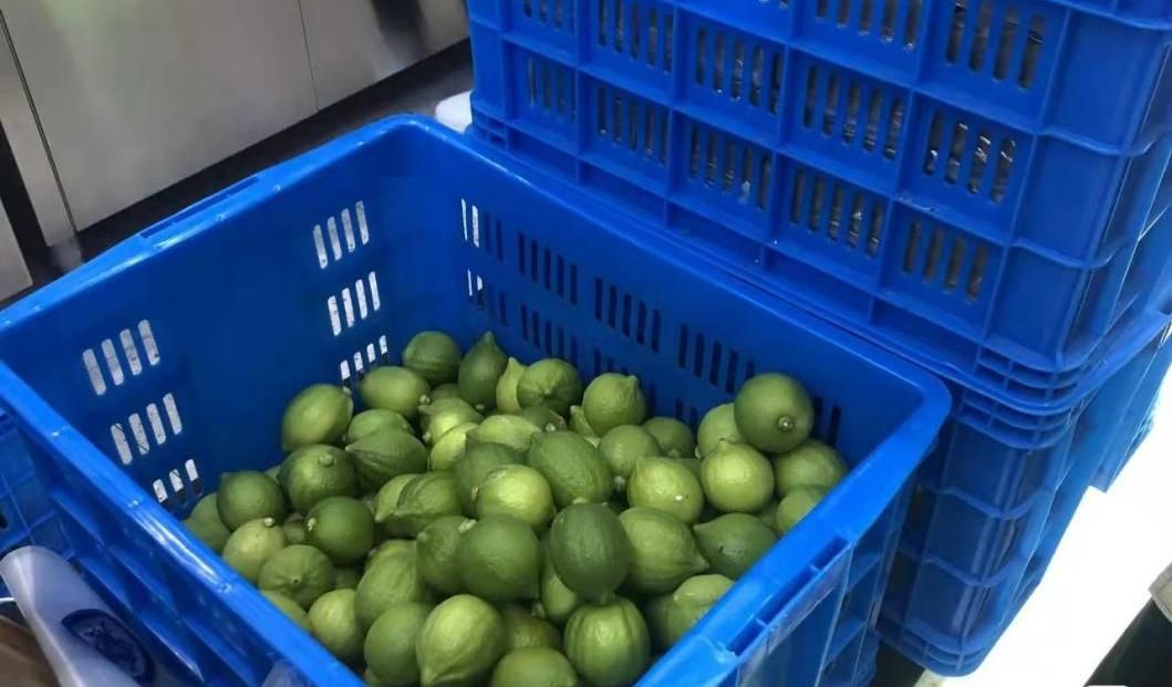 香水柠檬和柠檬的味道区别在哪,沁口香柠香水