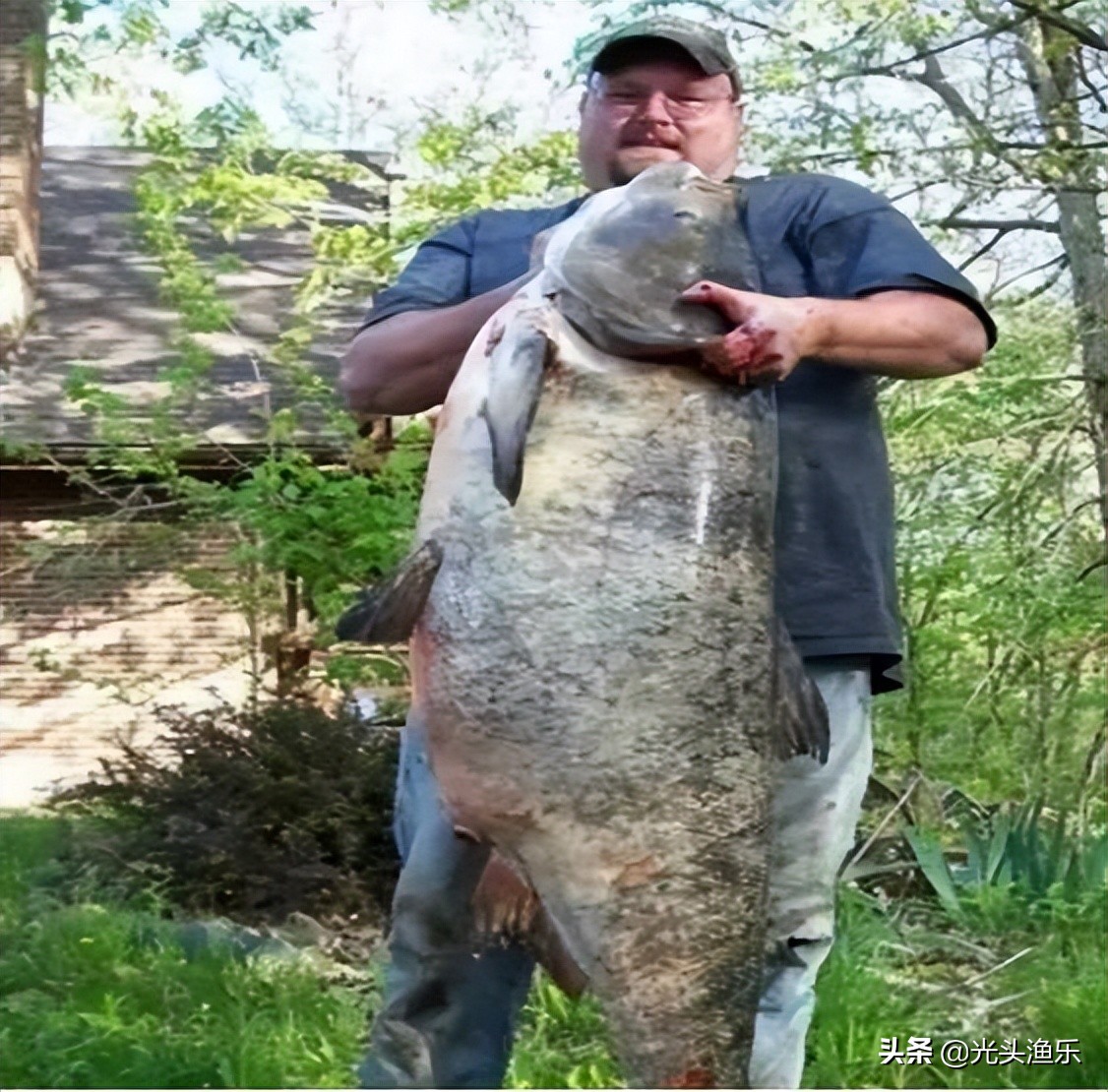 十大淡水超大型鱼类,十大大型淡水鱼类