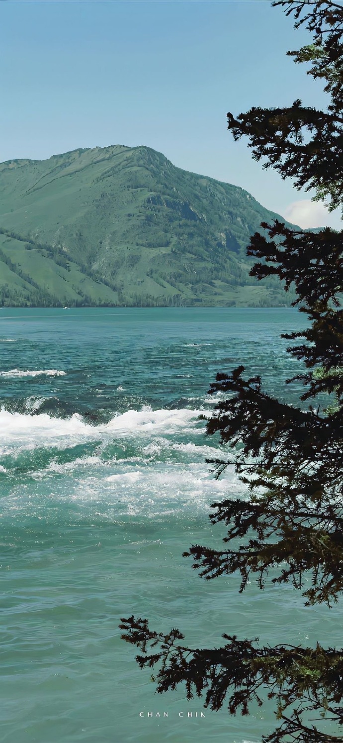 怎么会不喜欢綠色壁纸呢