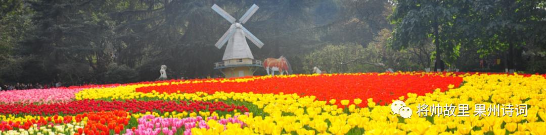 《将帅故里——果州诗词》第6期