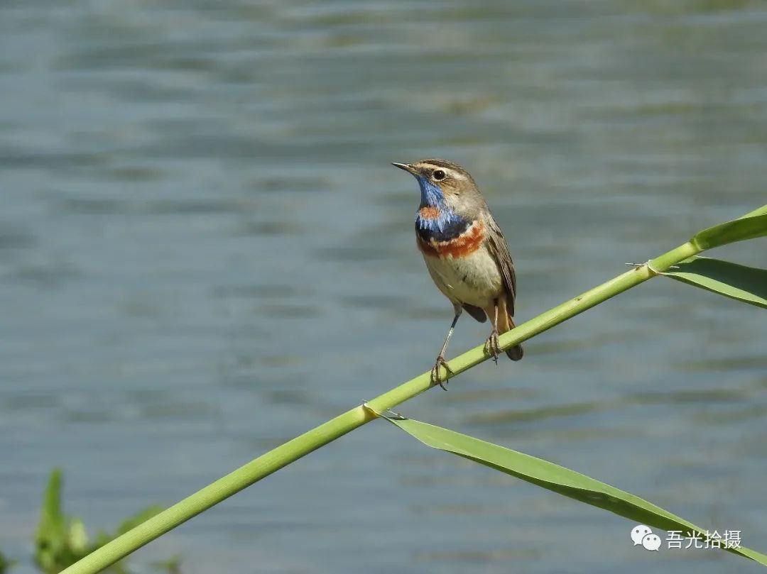 砂石坑什么时候挖出来,砂石石槽图片