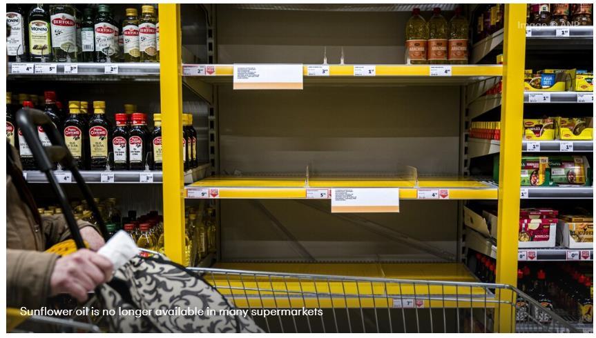 俄乌基辅战火,俄乌战火现状