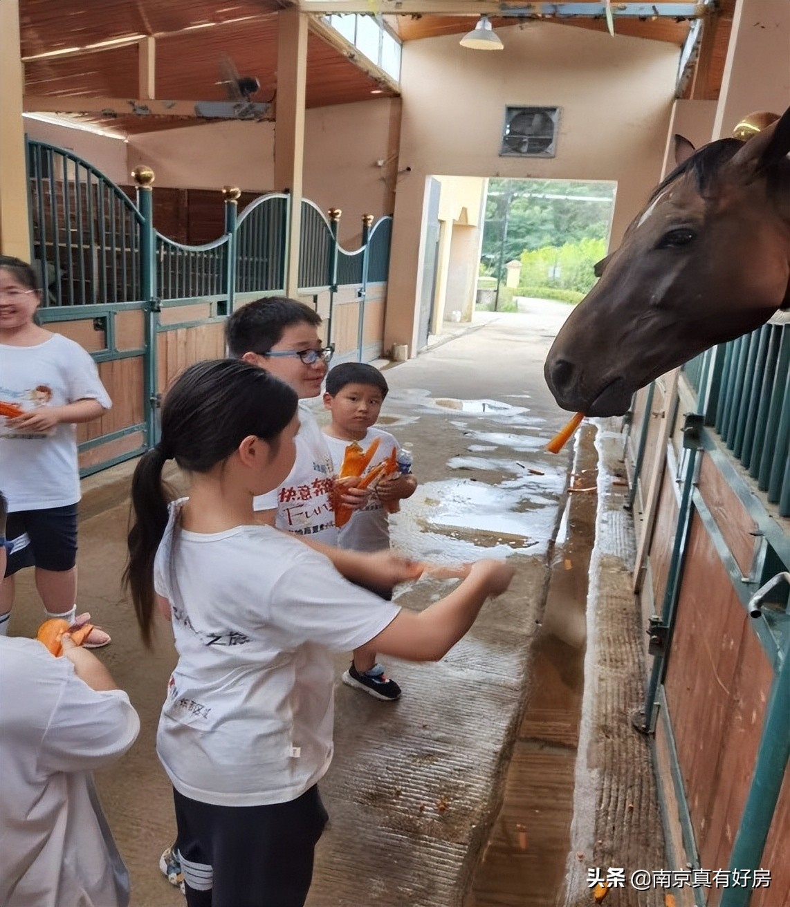 金地商置东部区域有限公司,金地商置新春