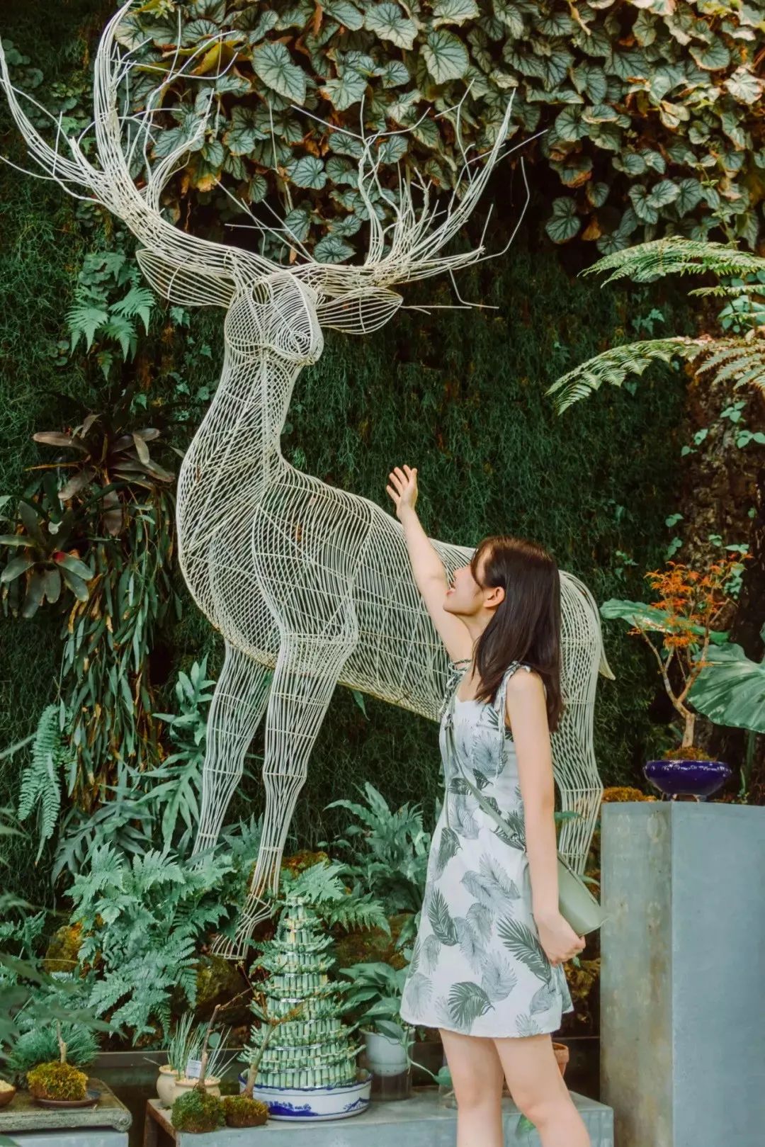 深圳10个小众打卡地免费游玩,深圳小众海边游玩攻略