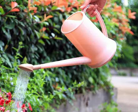 家里种的花有虫子有灭虫子方法吗,家里养的花除虫