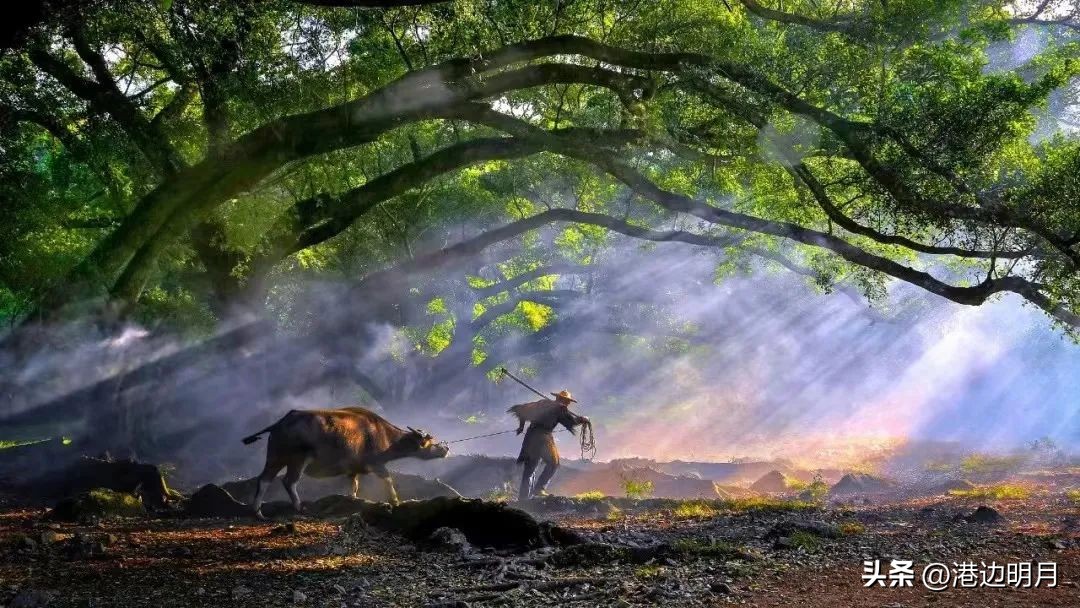 春分什么意思,春分夏至秋分冬至分别是哪几天