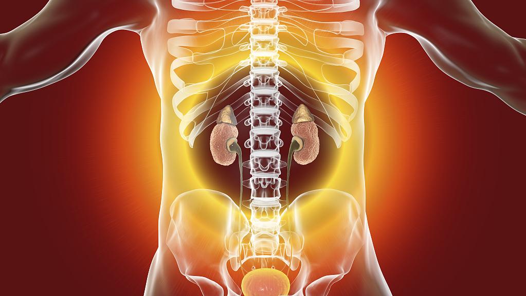 肾精亏虚身体被掏空了怎么治疗,肾精亏虚中草药中医处方