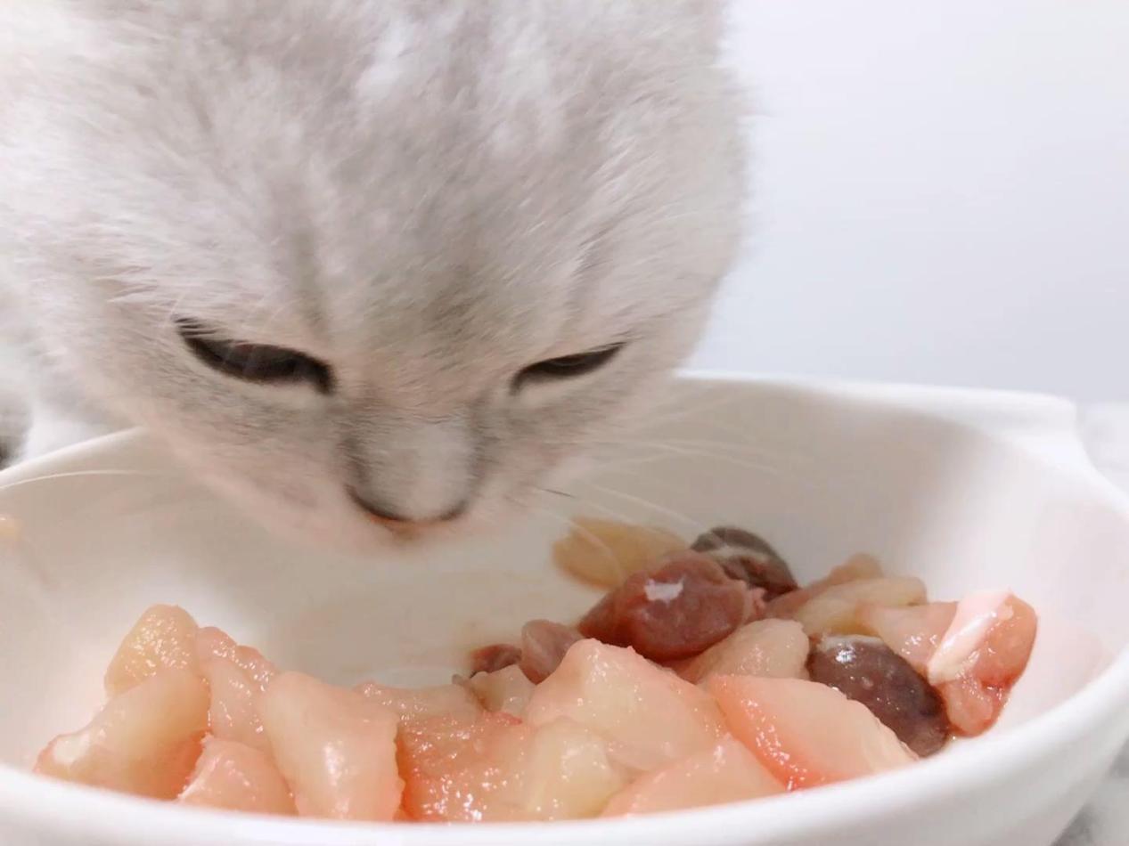 如何看待国产主食冻干,专家对冷冻食材的看法