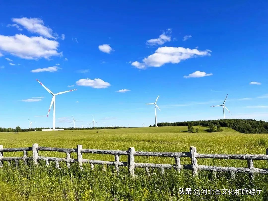 向着坝上草原出发,向草原出发的视频