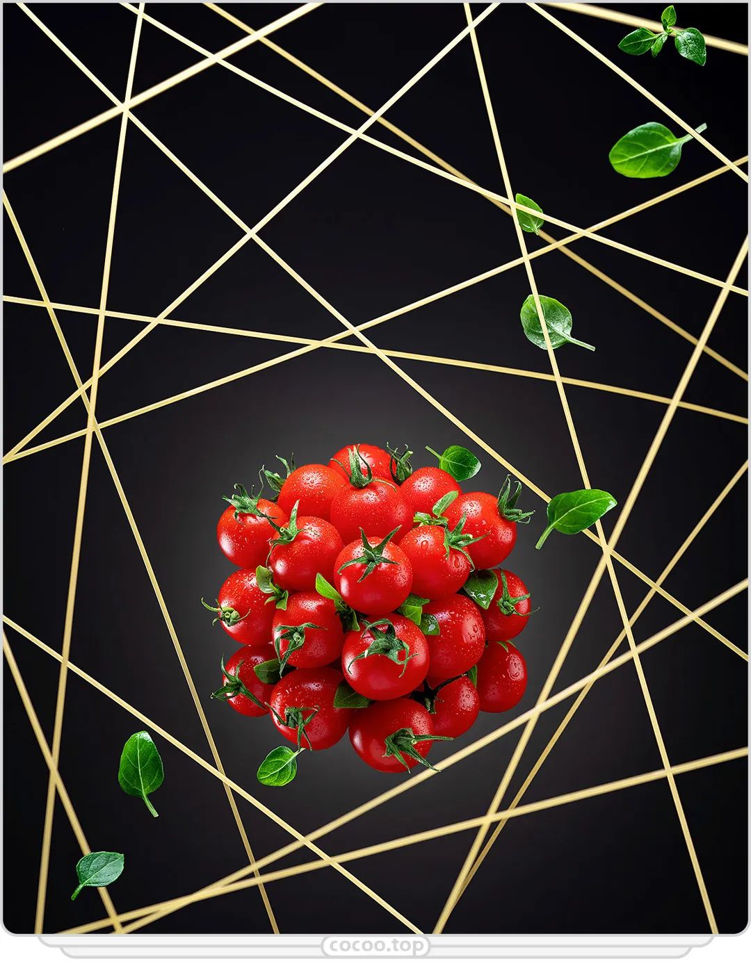 带你认识身体结构,平面构成基础知识大全集