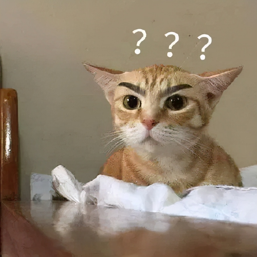 沫子感谢大哥礼物,沫子鞠躬谢礼物