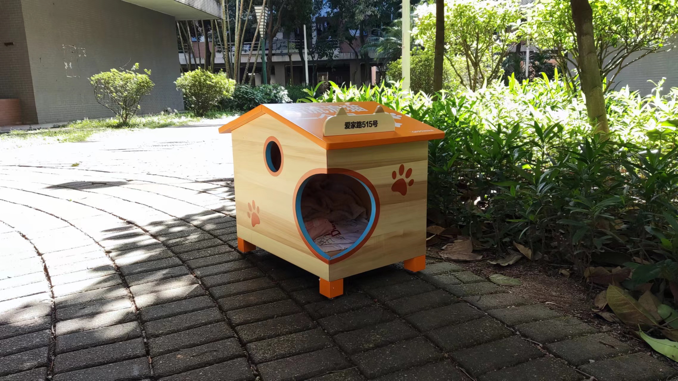 为爱定制一个家,为流浪猫爱心筹款