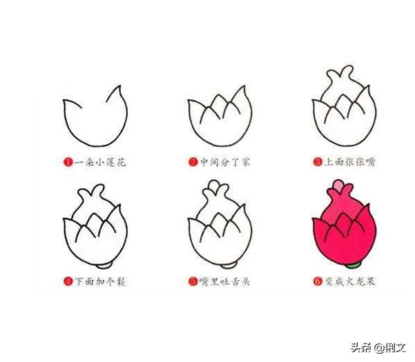 如何画水果蔬菜的简笔画步骤,秋天成熟的水果有哪些简笔画