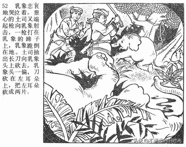 大象搬家,大象搬家河北