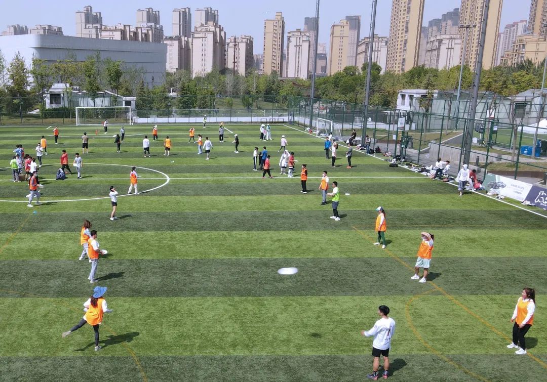 足球场和飞盘冲突,足球场禁止飞盘和狗入内