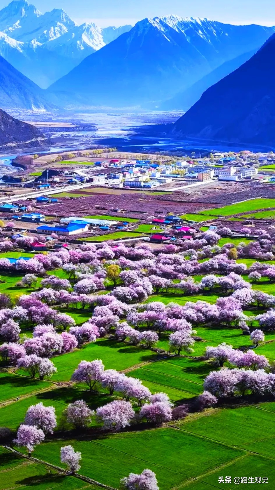 藏族人起源,藏族人的起源神话