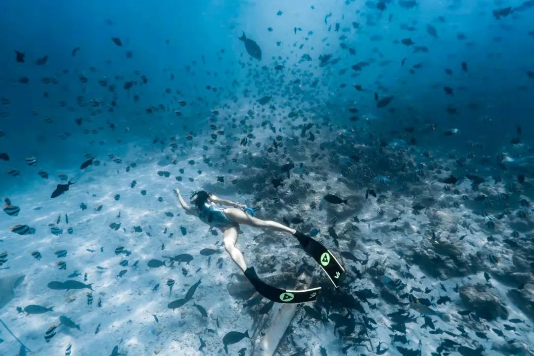 她的国风水下舞，每一帧都美到忘了呼吸