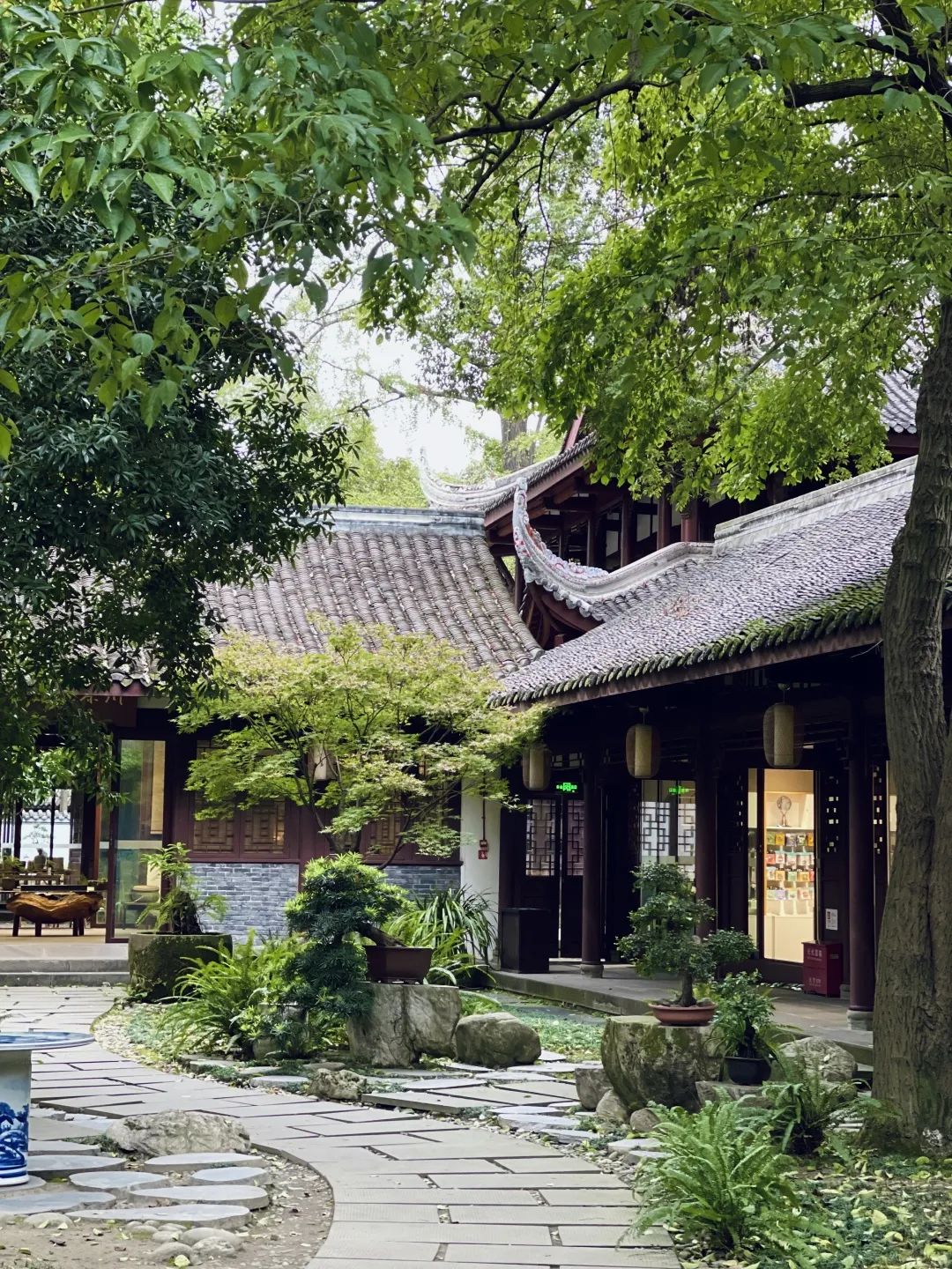 秋雨|江虹明远饮,峡雨落馀飞