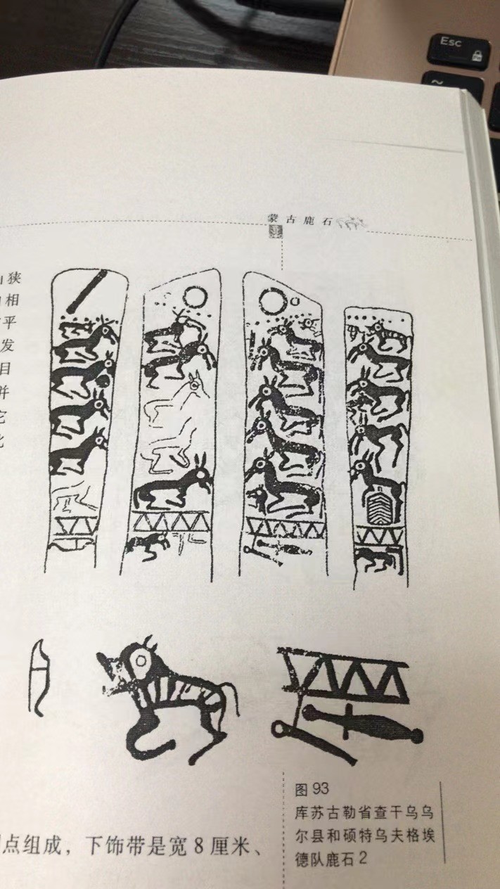 人类起源新说,人类起源新论完整版