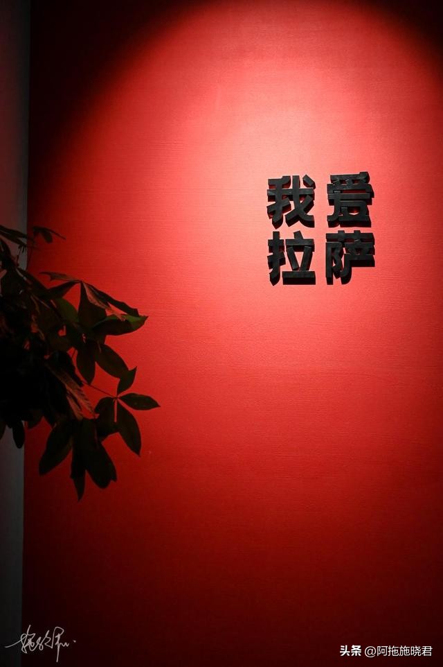 西藏拉萨旅游攻略必备,来西藏旅游博主