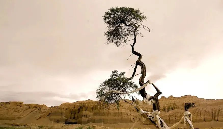 西藏阿里最值得去的地方,西藏阿里最美的地方