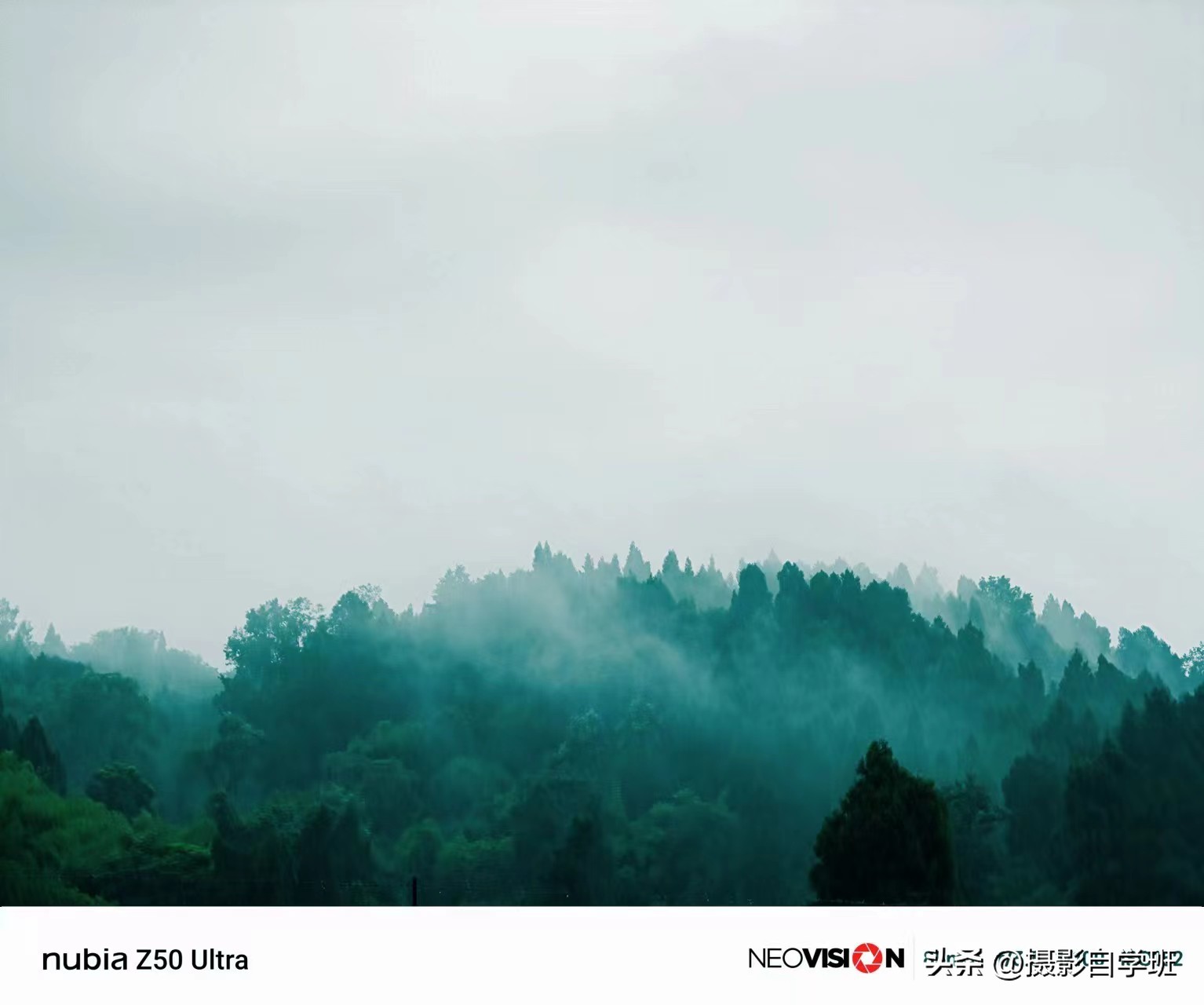 摄友投稿图片,摄友投稿旅行记录图