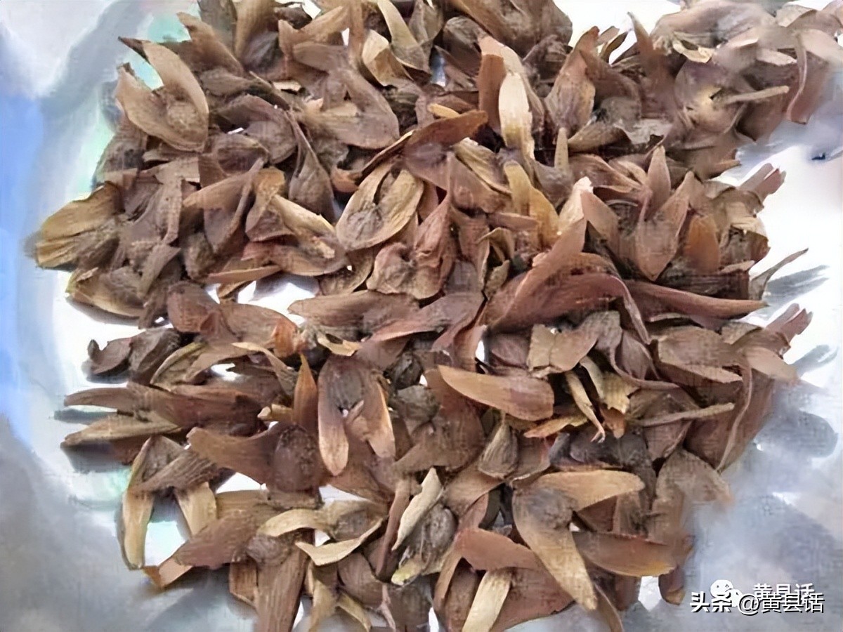 下河抓鱼最好的办法,下河抓鱼是怎么抓的