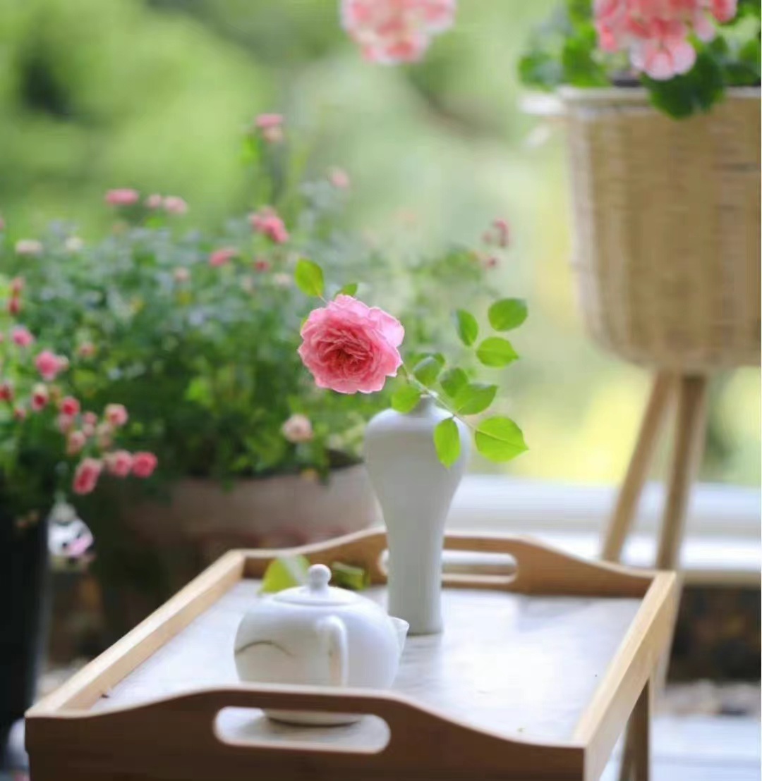 闺蜜网购小技巧,老闺蜜网购