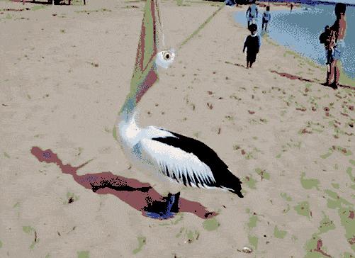 鹈鹕吃长颈鹿动画版,鹈鹕咬长颈鹿