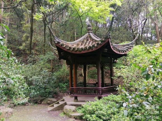 杭州西湖美景虎跑梦泉,杭州天下第三泉虎跑泉