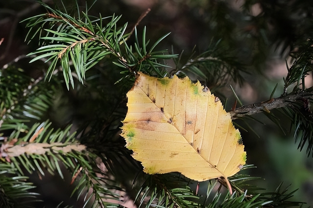 女人正常回你消息却对你保持距离,不回你信息的女人就别再去打扰了