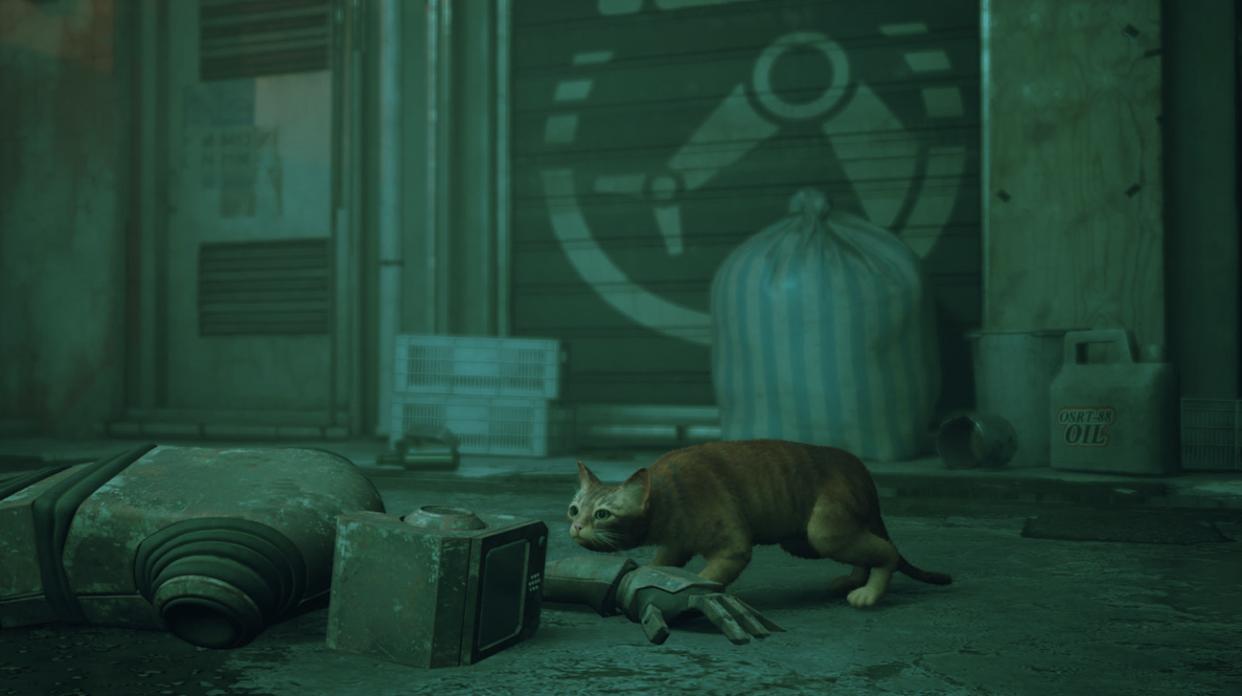 流浪猫模拟器要怎么玩,流浪猫模拟器是什么游戏