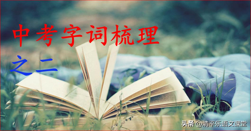 中考字词归纳总复习方法,中考字词句复习资料