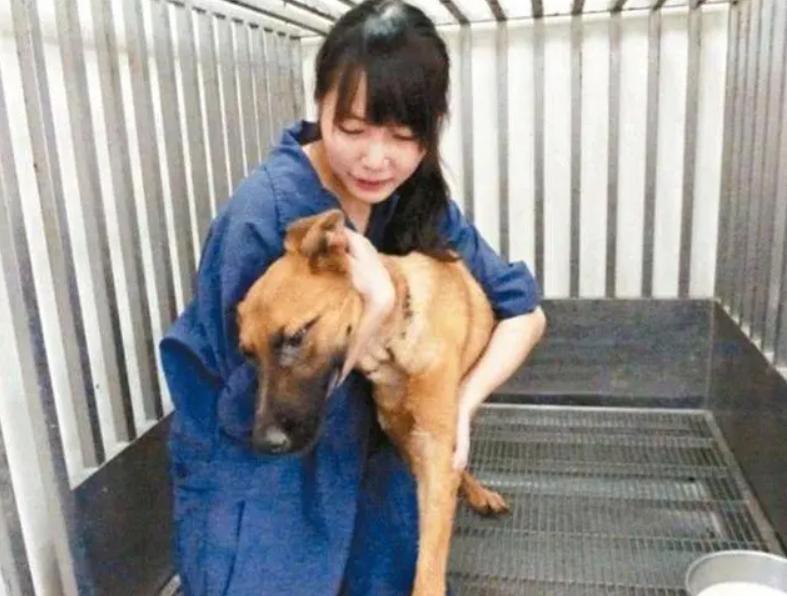 台湾女孩简稚澄,台湾女子给狗狗安乐死
