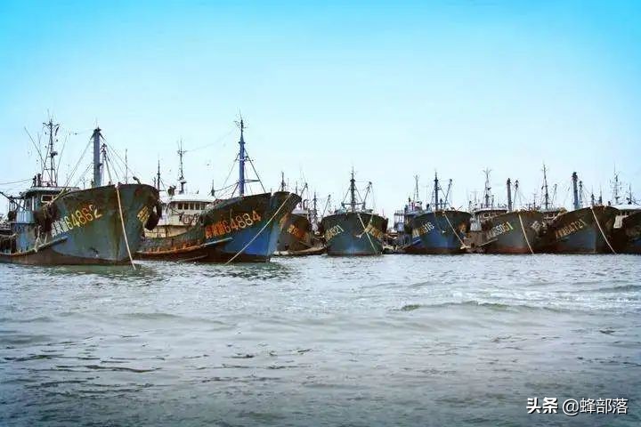 一网4500斤黄鱼,渔民一网野生黄鱼出957万高价