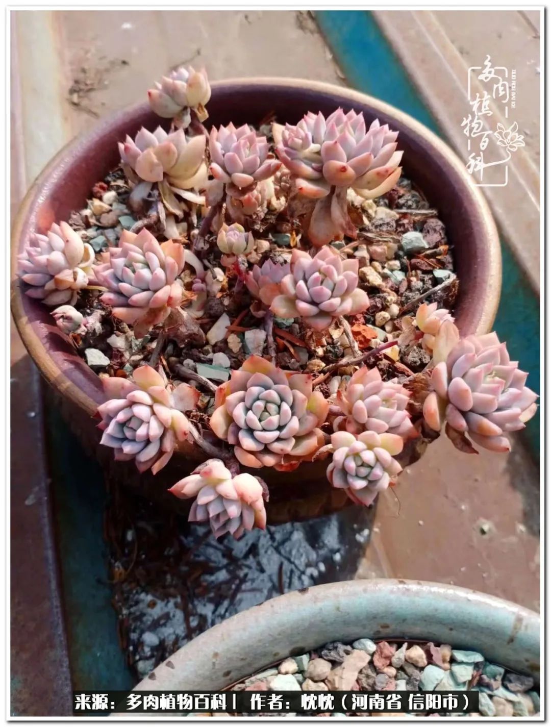 携一人白首择一城终老心之向往,携一人之手择一城终老图片