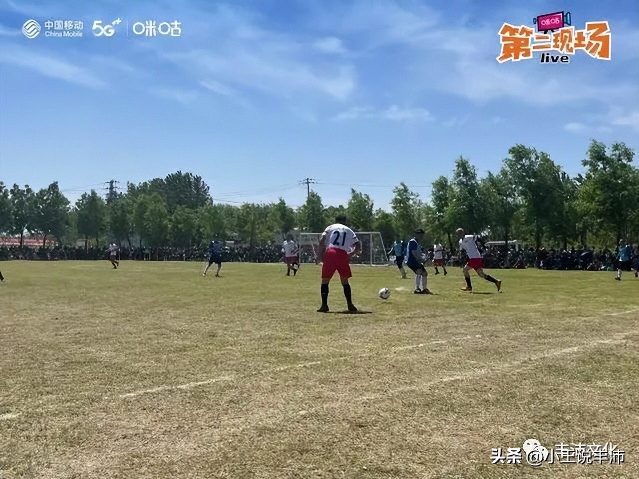 沛县足球赛精彩进球,足球佳话