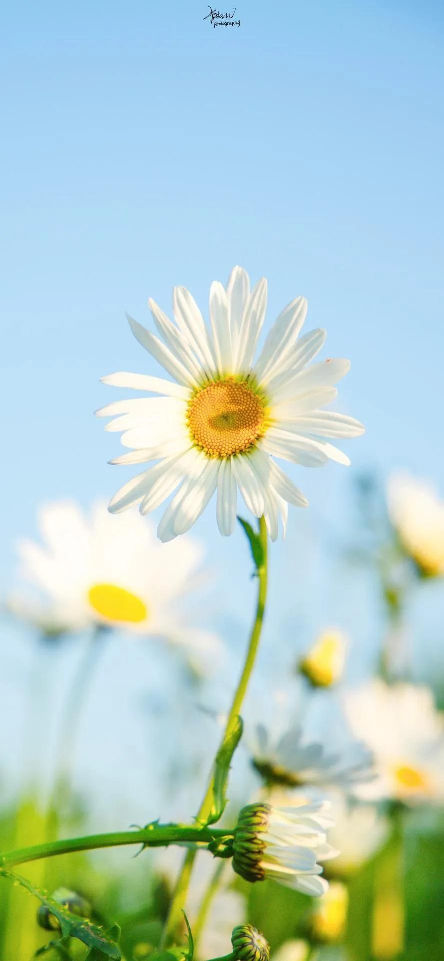 超高清海洋沙滩风景壁纸全屏,湛蓝的海水海滩风景高清壁纸